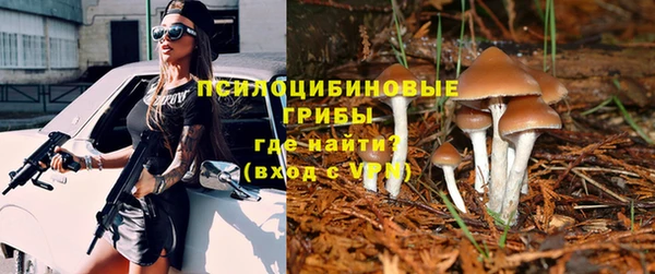 apvp Беломорск